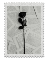 https://upforme.ru/uploads/001c/a2/2d/2/183281.png
