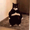https://upforme.ru/uploads/001c/a2/2d/2/192932.gif