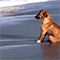https://upforme.ru/uploads/001c/a2/2d/2/227608.gif
