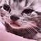 https://upforme.ru/uploads/001c/a2/2d/2/233981.gif