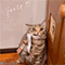 https://upforme.ru/uploads/001c/a2/2d/2/327997.gif