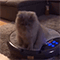 https://upforme.ru/uploads/001c/a2/2d/2/424474.gif