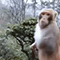 https://upforme.ru/uploads/001c/a2/2d/2/630629.gif