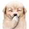 https://upforme.ru/uploads/001c/a2/2d/2/656661.png