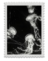 https://upforme.ru/uploads/001c/a2/2d/2/668484.png