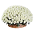 https://upforme.ru/uploads/001c/a2/2d/2/693025.png