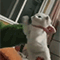 https://upforme.ru/uploads/001c/a2/2d/2/721627.gif