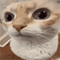 https://upforme.ru/uploads/001c/a2/2d/2/782767.gif