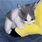 https://upforme.ru/uploads/001c/a2/2d/2/783640.gif