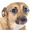 https://upforme.ru/uploads/001c/a2/2d/2/785797.png