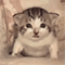 https://upforme.ru/uploads/001c/a2/2d/2/826982.gif