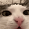 https://upforme.ru/uploads/001c/a2/2d/2/912244.gif