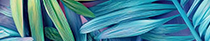 https://upforme.ru/uploads/001c/a2/2d/2/956568.png