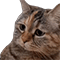 https://upforme.ru/uploads/001c/a2/2d/2/976244.gif