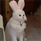 https://upforme.ru/uploads/001c/a2/2d/5/110636.gif