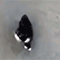 https://upforme.ru/uploads/001c/a2/2d/5/207338.gif