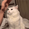 https://upforme.ru/uploads/001c/a2/2d/5/301561.gif