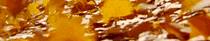 https://upforme.ru/uploads/001c/a2/2d/5/365693.gif