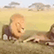 https://upforme.ru/uploads/001c/a2/2d/5/546035.gif