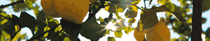 https://upforme.ru/uploads/001c/a2/2d/5/609691.gif