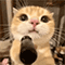 https://upforme.ru/uploads/001c/a2/2d/5/837980.gif