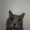 https://upforme.ru/uploads/001c/a2/2d/5/919821.gif