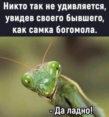 https://upforme.ru/uploads/001c/a6/40/2/t96553.jpg