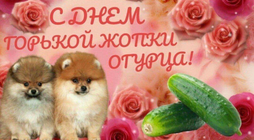 https://upforme.ru/uploads/001c/a6/40/6/313393.jpg