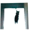 https://upforme.ru/uploads/001c/a6/d6/106/335186.png