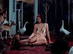 https://upforme.ru/uploads/001c/a6/d6/317/113934.gif