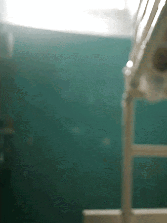 https://upforme.ru/uploads/001c/a7/a4/2/t421065.gif