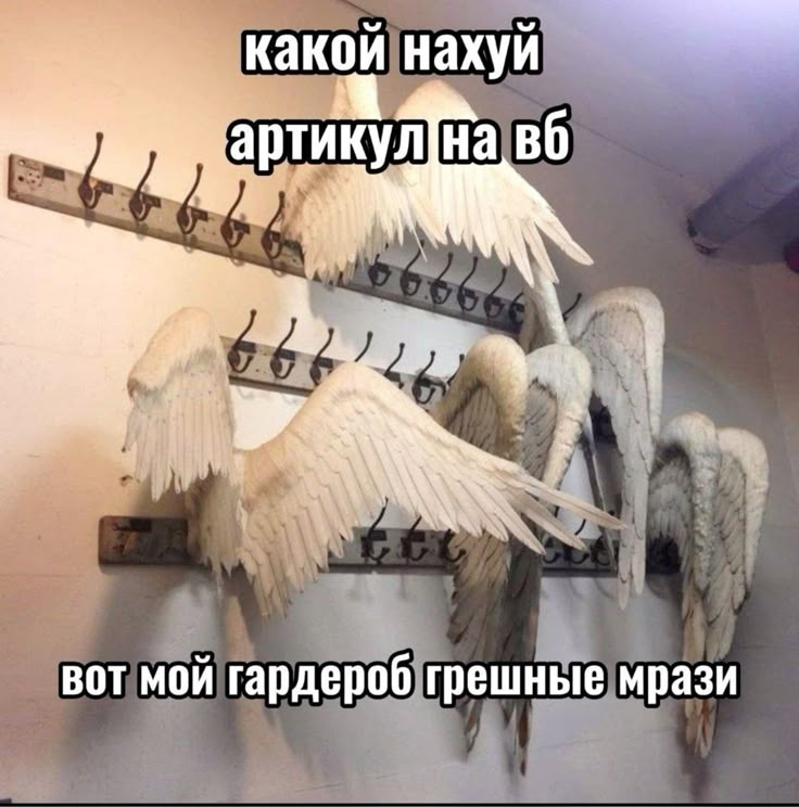 https://upforme.ru/uploads/001c/aa/61/126/207234.jpg