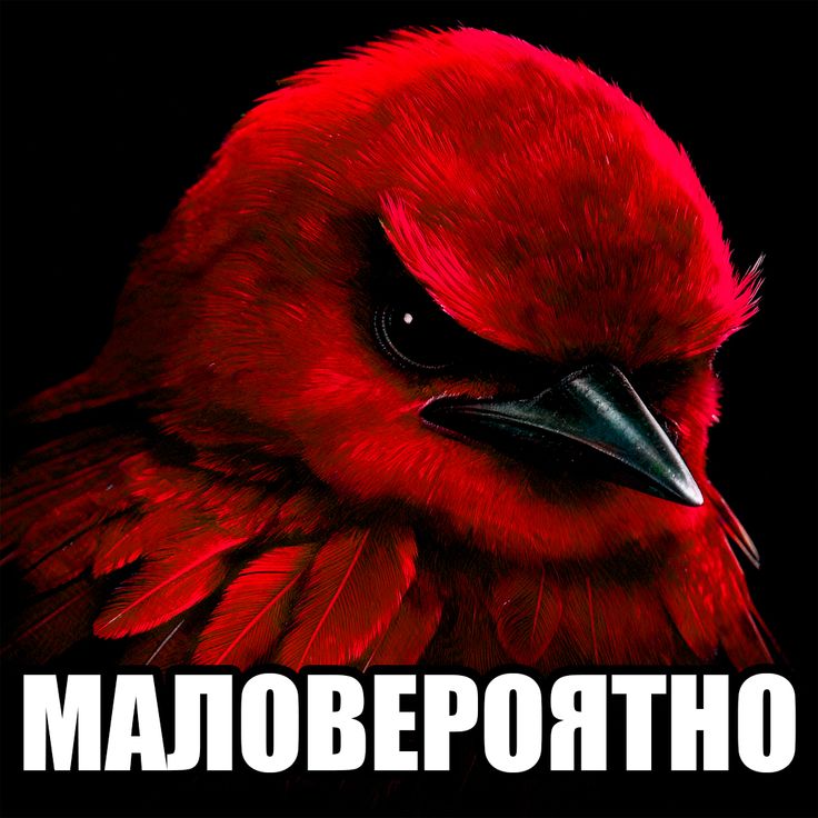 https://upforme.ru/uploads/001c/aa/61/4/12371.jpg