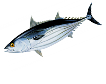 https://upforme.ru/uploads/001c/ac/32/2/151698.png