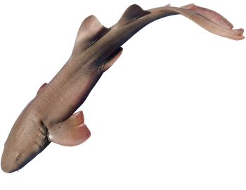 https://upforme.ru/uploads/001c/ac/32/2/167408.png