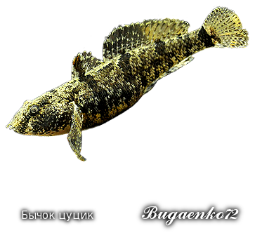 https://upforme.ru/uploads/001c/ac/32/2/177385.png