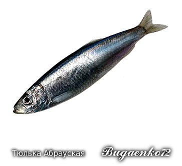 https://upforme.ru/uploads/001c/ac/32/2/220042.png