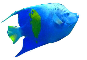 https://upforme.ru/uploads/001c/ac/32/2/269357.png