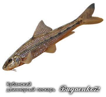 https://upforme.ru/uploads/001c/ac/32/2/298153.png