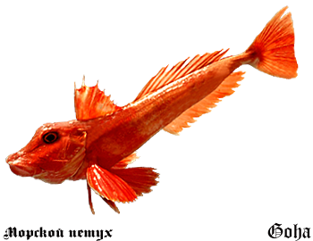 https://upforme.ru/uploads/001c/ac/32/2/313163.png