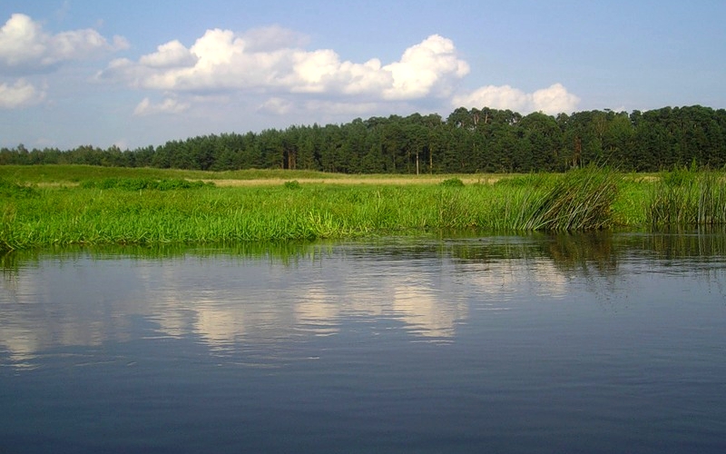 https://upforme.ru/uploads/001c/ac/32/2/31365.jpg