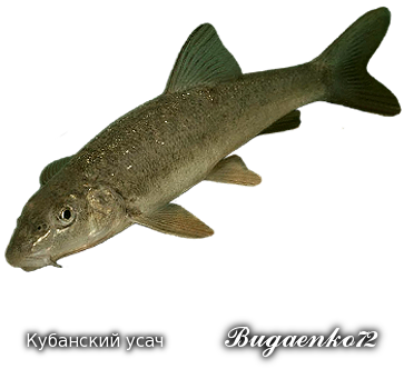 https://upforme.ru/uploads/001c/ac/32/2/435381.png