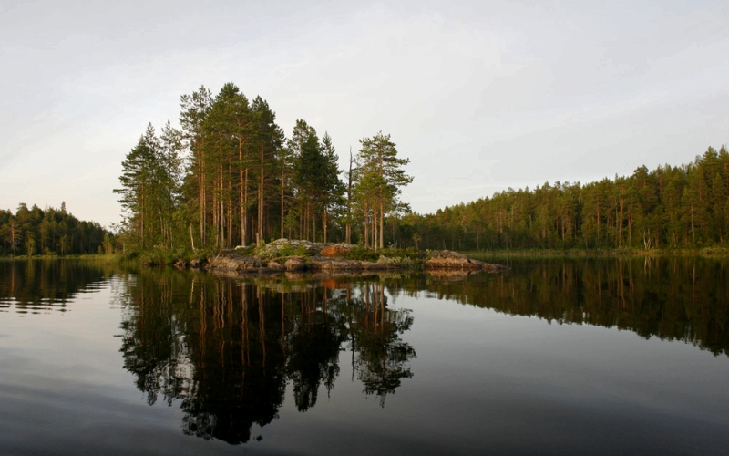 https://upforme.ru/uploads/001c/ac/32/2/446487.jpg
