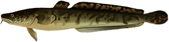 https://upforme.ru/uploads/001c/ac/32/2/465869.png