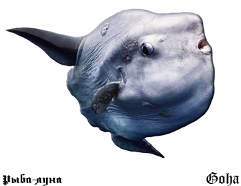 https://upforme.ru/uploads/001c/ac/32/2/477715.png