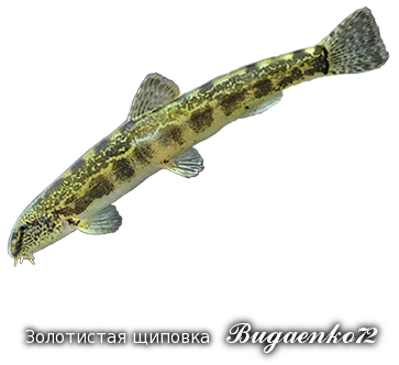 https://upforme.ru/uploads/001c/ac/32/2/674632.png