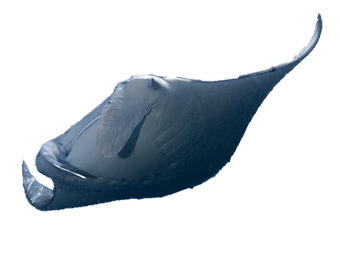 https://upforme.ru/uploads/001c/ac/32/2/689258.png