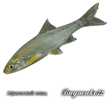 https://upforme.ru/uploads/001c/ac/32/2/699997.png