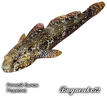 https://upforme.ru/uploads/001c/ac/32/2/779370.png