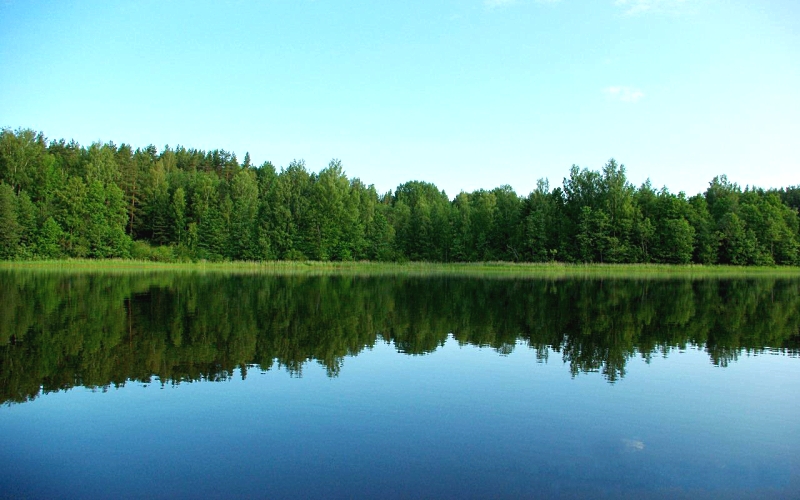 https://upforme.ru/uploads/001c/ac/32/2/824615.jpg